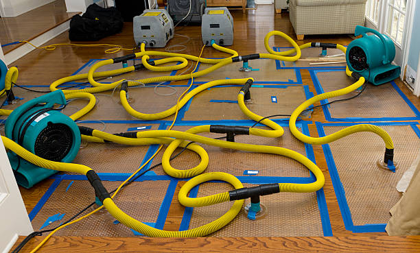 Professional Emergency Water Removal technician working in Cottontown, TN